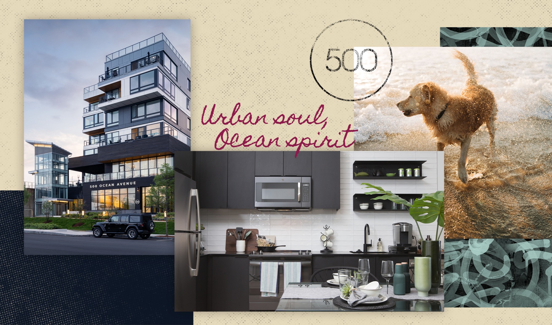 Urban soul, ocean spirit. Welcome to 500 Ocean Apartments Urban soul, ocean spirit. Welcome to 500 Ocean Apartments